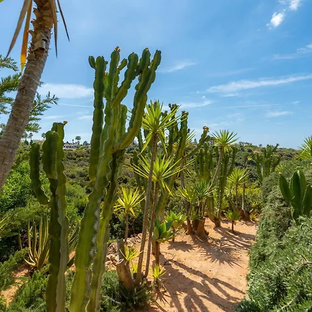 Dos Piscos Lagoa (Algarve)