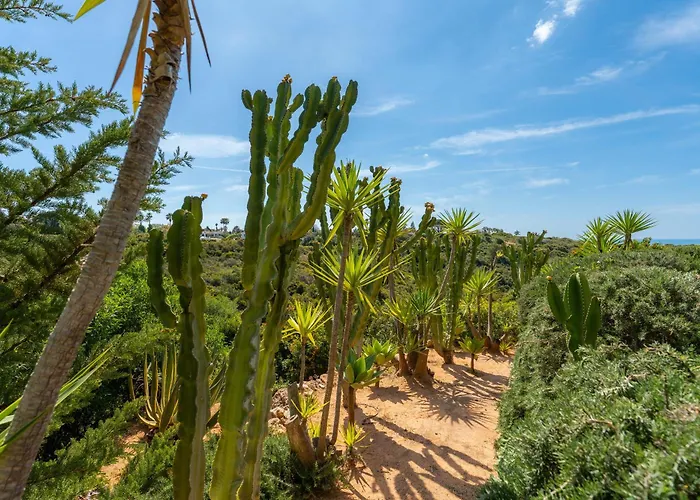 Dos Piscos Lagoa (Algarve)